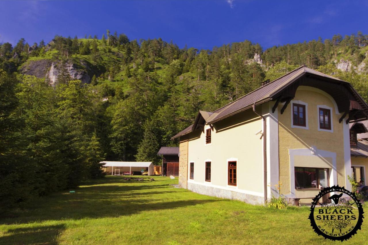 Penzion Black Sheeps Adventures Wildalpen Exterior foto