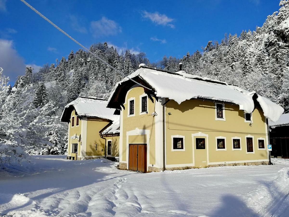 Penzion Black Sheeps Adventures Wildalpen Exterior foto